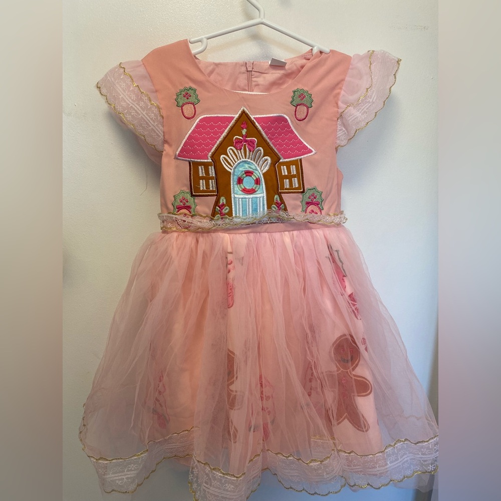 Mini Taylor Gingerbread Pink Applique Tulle Dress, Never Worn, In Package, 5-6